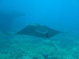 Pousada em Fernando de Noronha